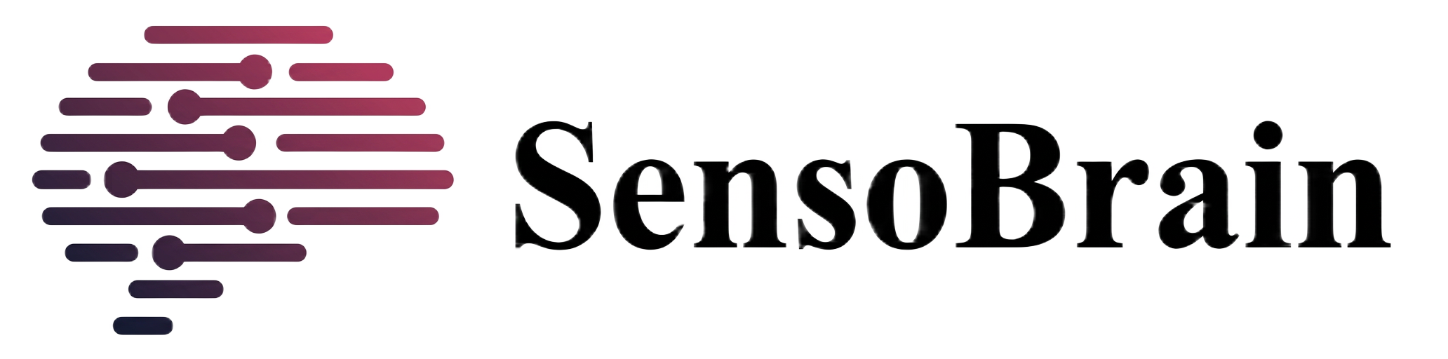SensoBrain logo